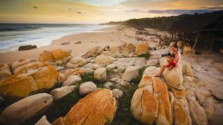 La playa escondida de Guerrero donde los ostiones son del tamaño de tu mano y el mar es solo tuyo La playa escondida de Guerrero donde los ostiones son del tamaño de tu mano y el mar es solo tuyo