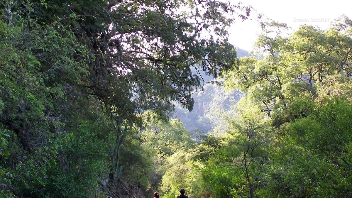 Los Angeles, but in Catamarca: the hidden town in the mountains that has only 300 inhabitants and is a paradise