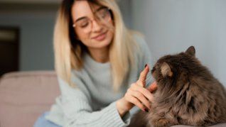 Según especialistas, es pposible identificar por qué muchas personas vuelven rutinario hablar con sus gatos. Según especialistas, es pposible identificar por qué muchas personas vuelven rutinario hablar con sus gatos.