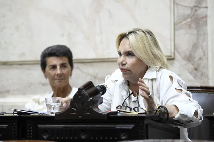 Marilú Quiroz (PRO) busca organizar el evento antes de dejar su banca. Marilú Quiroz (PRO) busca organizar el evento antes de dejar su banca.