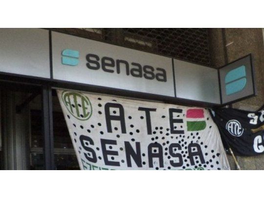 Trabajadores del Senasa inician paro de 10 días