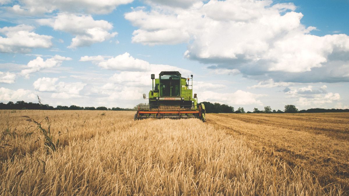 due to the increase in profitability, the sale of agricultural machinery grows