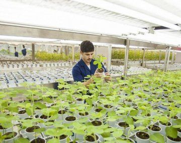 Bioceres S.A. es la empresa argentina que dio origen al grupo biotecnológico fundado en Rosario. Bioceres S.A. es la empresa argentina que dio origen al grupo biotecnológico fundado en Rosario.