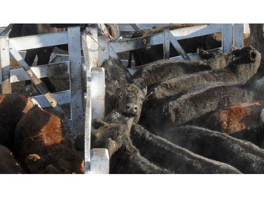 La escasa oferta presiona alza de precios