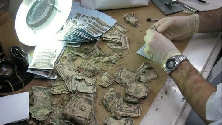 Mutilated dollars Mutilated dollars