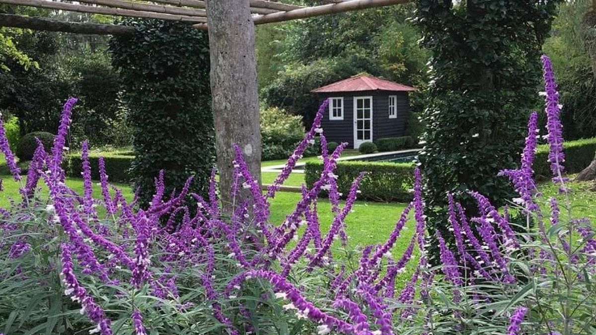 Expert advice to take care of your frost plants