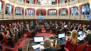 El proyecto obtuvo despacho de comisión en el Senado bonaerense.