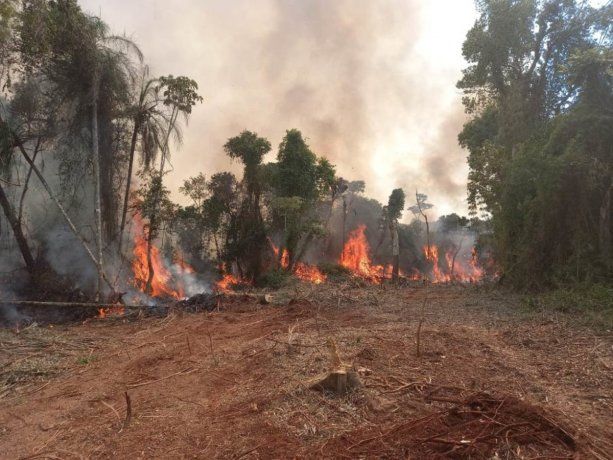 Incendios forestales en Misiones.