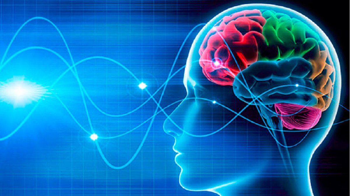 Brain: 5 tricks to improve your memory