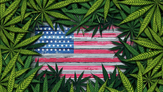Desde su llegada al Gobierno en enero de 2021, Joe Biden apostó por aprobar medidas para evitar que los ciudadanos entren en prisión por posesión de marihuana.