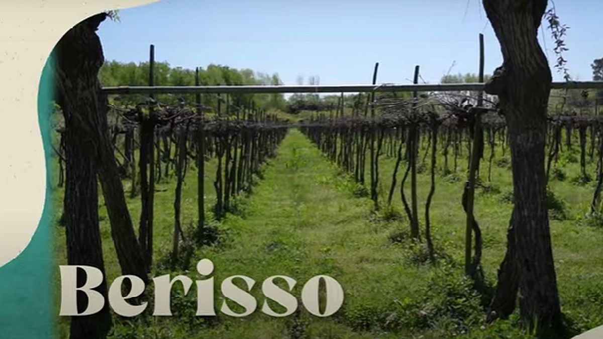 All the attractions of Berisso, less than an hour and a half from Capital