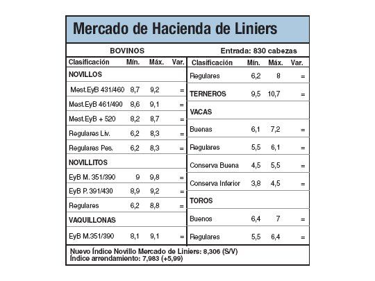 Los novillitos subieron un 1%