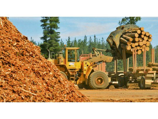 La industria forestal enfrenta una de las peores crisis de los &uacute;ltimos 50 a&ntilde;os.