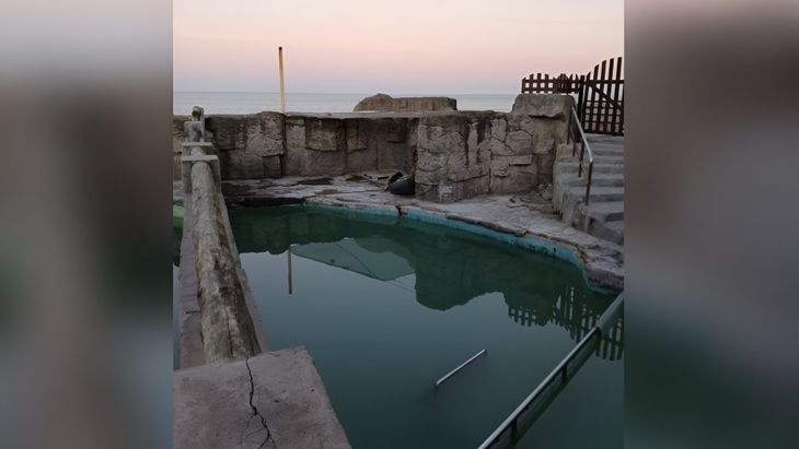 Estanques con agua verdosa.