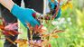 What is the composting course offered by the National Institute of Agricultural Technology (INTA) about?