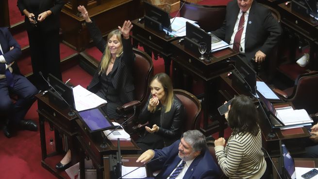 El proyecto de Ficha Limpia fue rechazado en el Senado. 