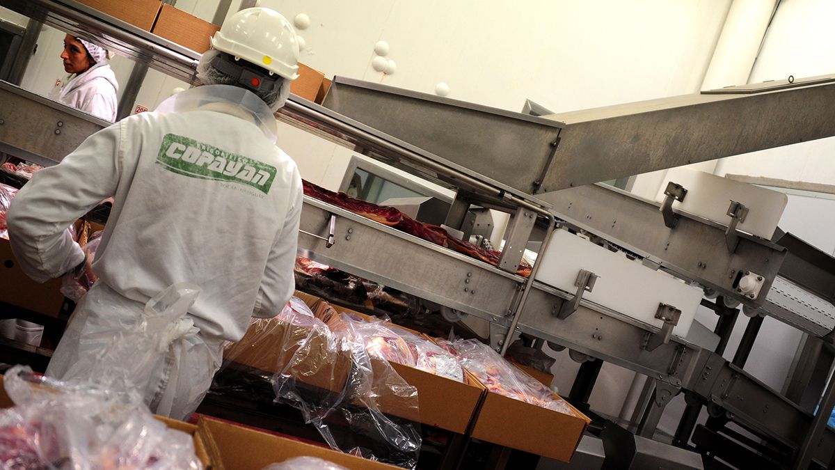 Uruguay can now export bovine stomachs to China