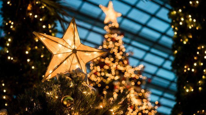 Según la ley vigente, el 25 de diciembre es un día de descanso obligatorio y quienes trabajen ese día deben recibir el doble de su salario habitual. &nbsp;
