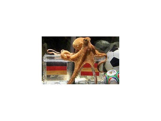 Paul, el pulpo más famoso