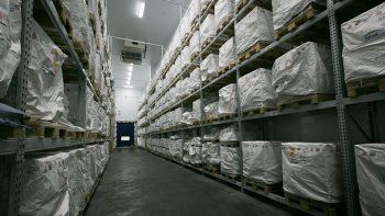Nuevas instalaciones de la Terminal de Cargas (TCA).