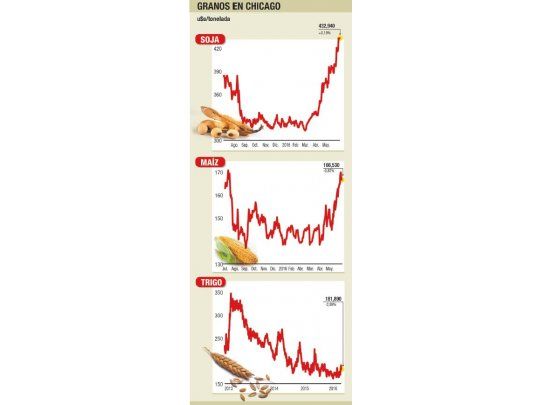 Informe de USDA positivo para soja