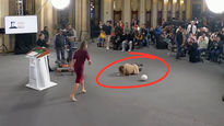 El momento de la caída de la periodista en la Mañanera.