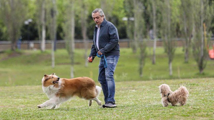 Antes de ir a votar, Alberto Fernández paseó a su perro Dylan.
