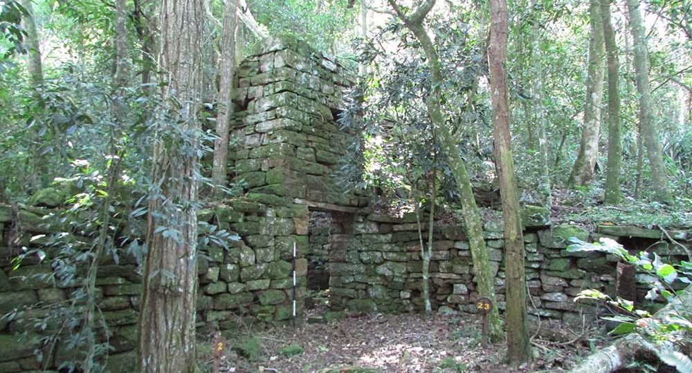 Un refugio nazi en la selva misionera (foto 1)