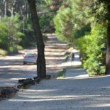 El turismo en Buenos Aires suma un destino donde el bosque se une al mar. El turismo en Buenos Aires suma un destino donde el bosque se une al mar.