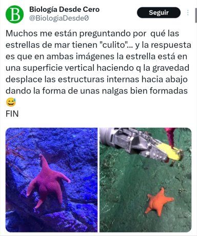 El sitio describió que 