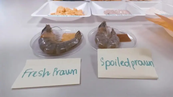 Con una simple señal visual, este invento promete revolucionar las cocinas de millones y evitar que la comida en mal estado termine en la basura. Con una simple señal visual, este invento promete revolucionar las cocinas de millones y evitar que la comida en mal estado termine en la basura.