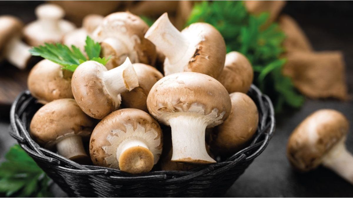Natural food that strengthens memory and protects the brain