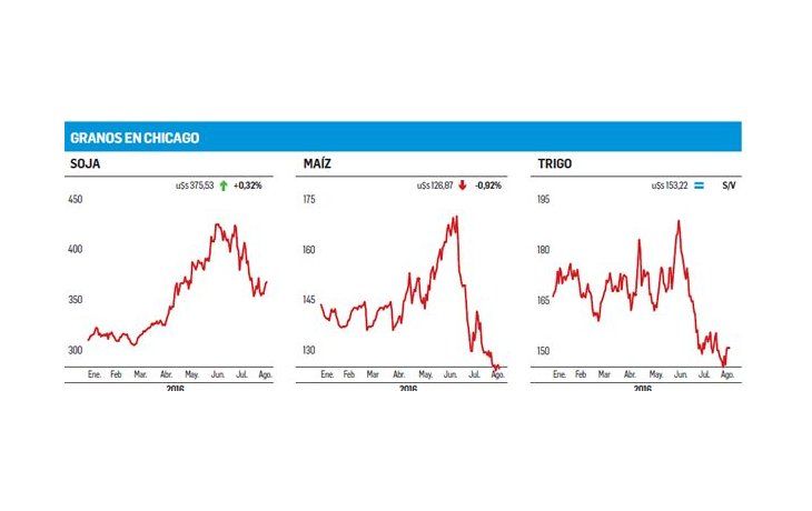 Los fondos especulativos salieron de compras