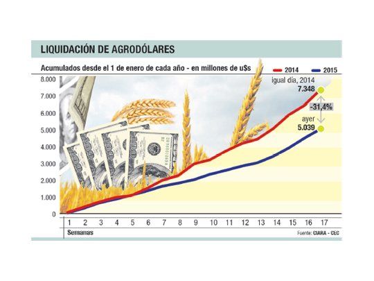 Liquidación de divisas del agro cae 31% en lo que va del año (con cosecha 10% mayor)