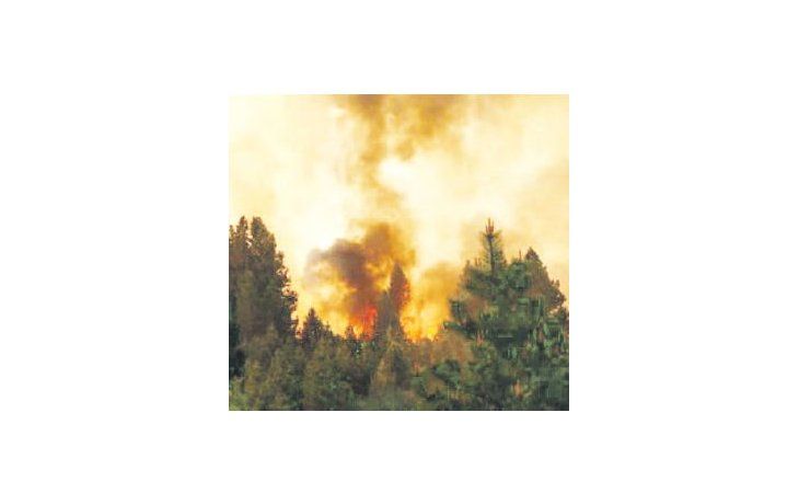 Un feroz incendio se desató ayer en la ciudad de Bariloche, lo que obligó al corte de la Ruta 40.