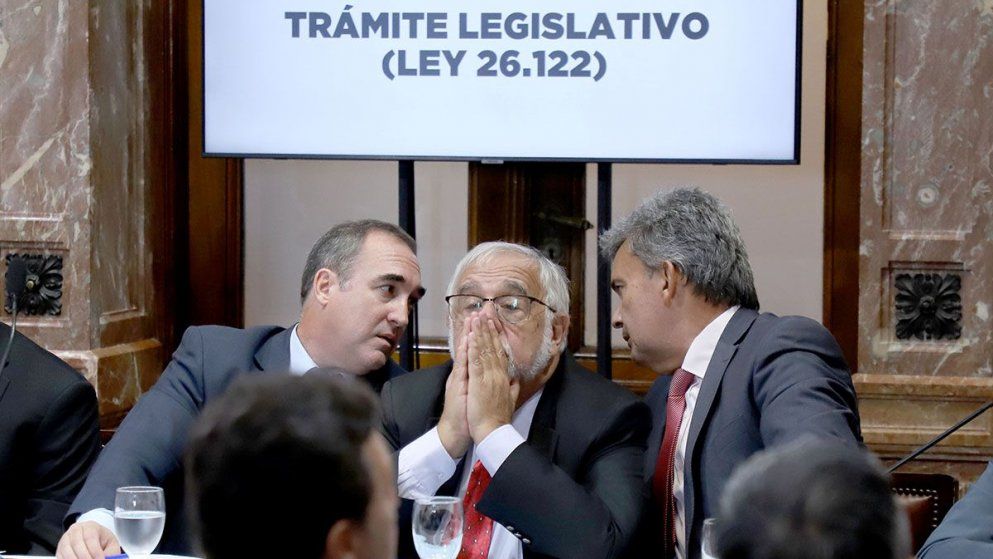 Juan Carlos Pagotto, senador de La Libertad Avanza. A su izquierda, Víctor Zimmermann, del radicalismo.