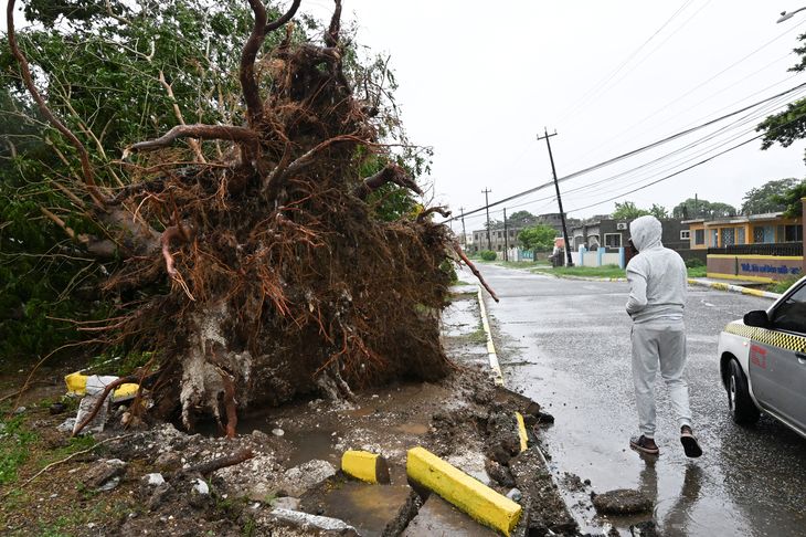 Casas destruidas, calles anegadas y árboles arrancados de raíz tras el paso del huracán Melissa, que golpeó a Jamaica con vientos de casi 300 km/h. Casas destruidas, calles anegadas y árboles arrancados de raíz tras el paso del huracán Melissa, que golpeó a Jamaica con vientos de casi 300 km/h.