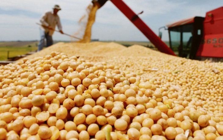 Fuerte caída de la molienda de soja: se perdieron u$s1.300 millones en divisas