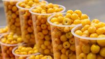 Esta fruta mexicana es oro molido: el superpoder del nanche para tus huesos y digestión