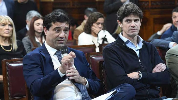 Maximiliano Abad y Martín Lousteau, compañeros del bloque radical en el Senado.