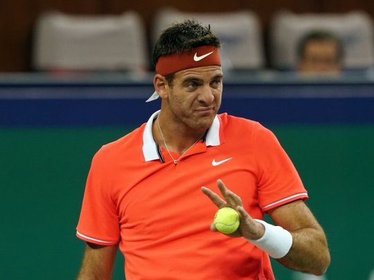 Juan Martín Del Potro.
