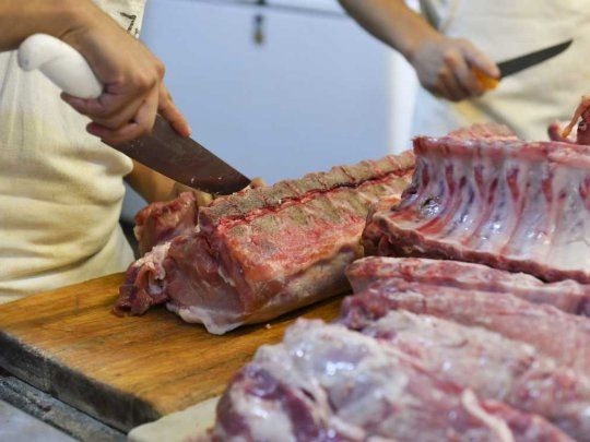 CARNE