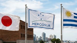 El bloque sudamericano y el país asiático avanzan hacia una apertura comercial tras el pacto alcanzado en diciembre. El bloque sudamericano y el país asiático avanzan hacia una apertura comercial tras el pacto alcanzado en diciembre.