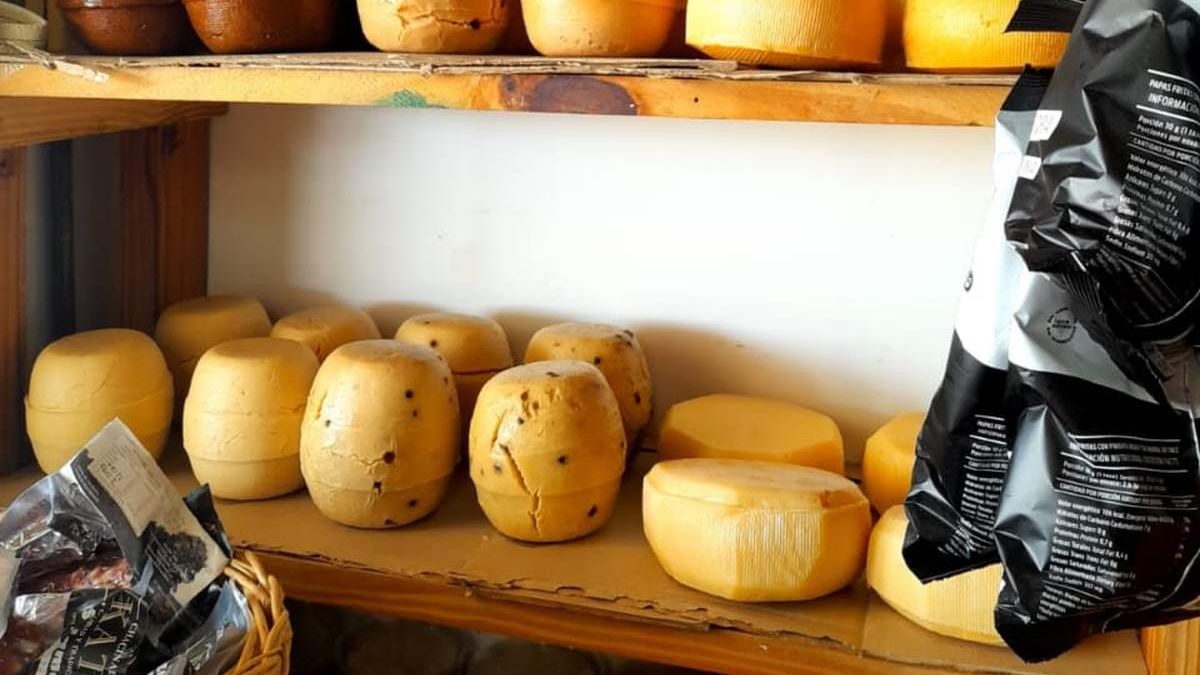 Getaway to pure cheeses, blueberries and wines: a destination less than two hours from the City