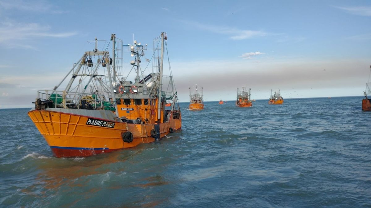 Los gremios navales de Chubut rechazan aumento del canon pesquero del langostino
