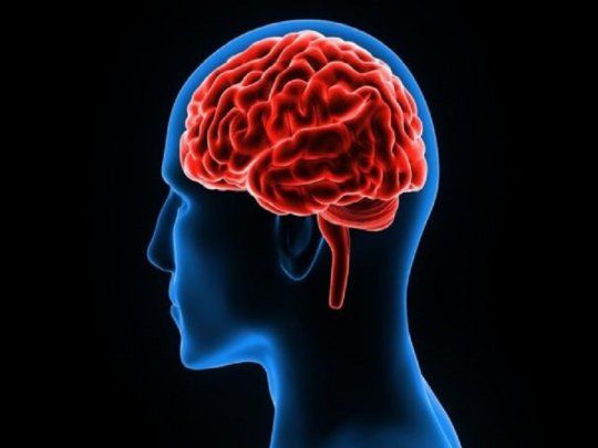 Cuánto usamos del cerebro.&nbsp;