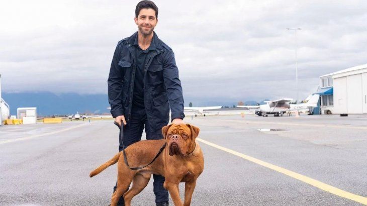 "Socios y sabuesos" la comedia protagonizada por Tom Hanks se convierte en una serie de televisión encabezada por Paul Campbell