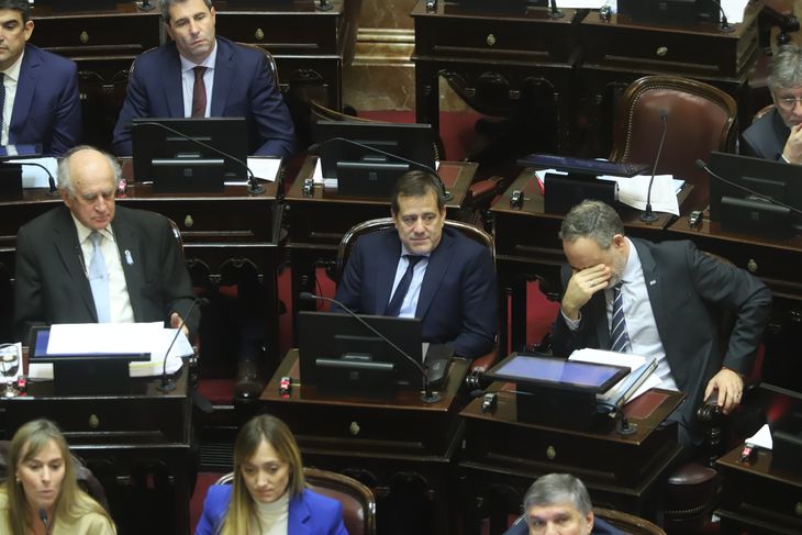 Bloque de Unión por la Patria en el Senado, durante la sesión.