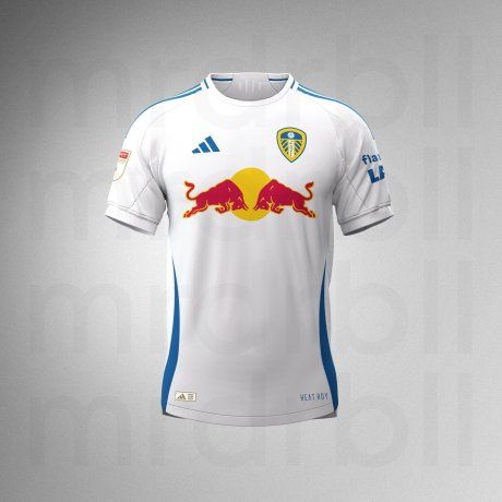 Red Bull entered Leed's shareholders by taking a minority percentage of the Premier League club.