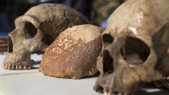 Un equipo internacional de investigadores comparó sus genomas con bases de datos de ADN, y con el genoma del humano moderno más antiguo de Europa, secuenciado en el cráneo de una mujer de hace unos 45.000 años, encontrado en el territorio de República Checa.&nbsp;